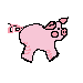 lilpiggy.gif (1240 bytes)